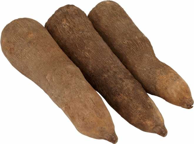 Meaning Of Yam